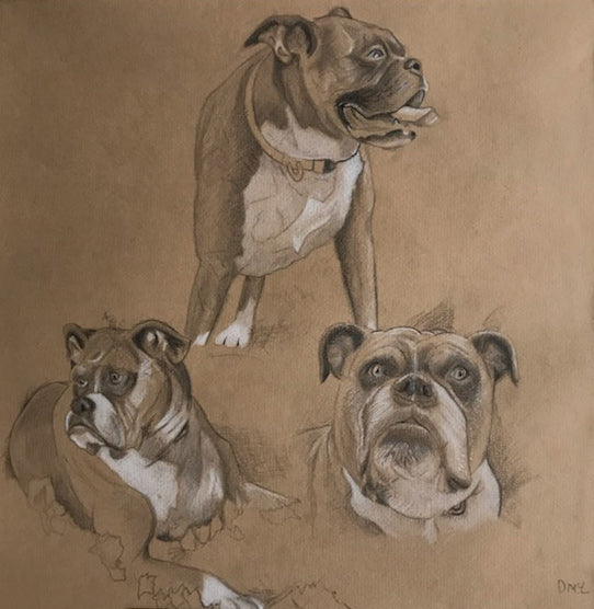 Pet Portraits 'Lola'